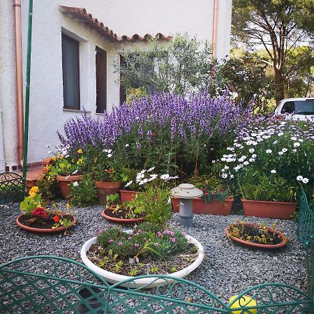 Villa Manuela Pula Εξωτερικό φωτογραφία