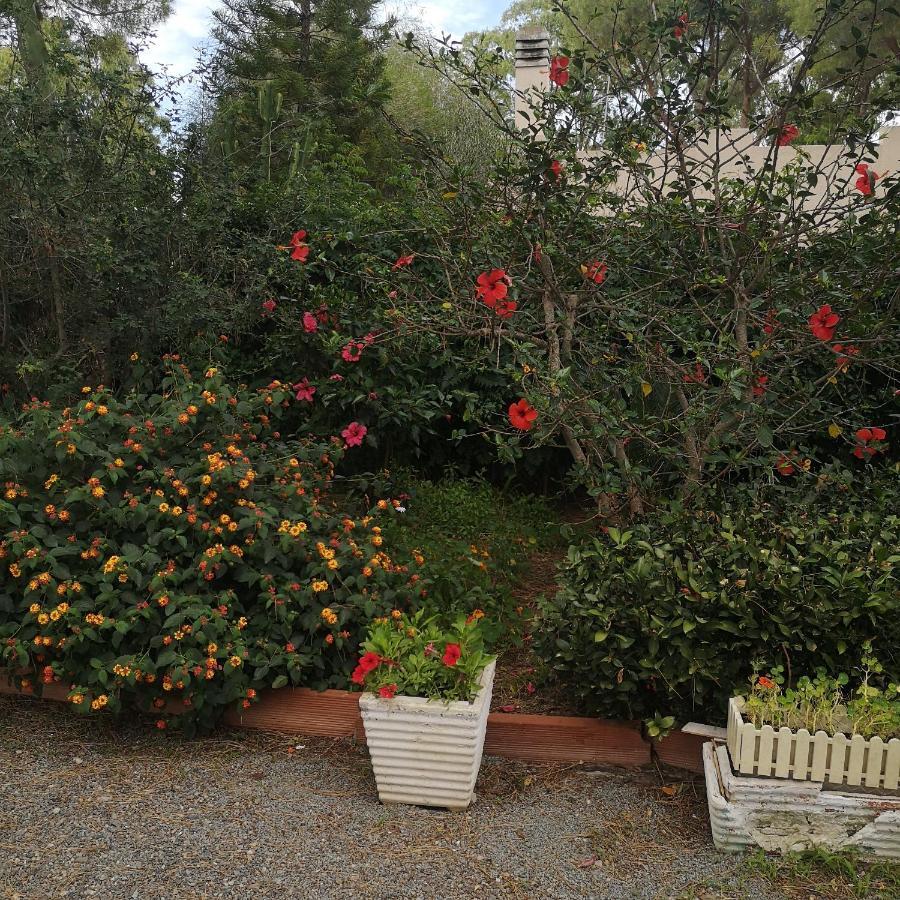 Villa Manuela Pula Εξωτερικό φωτογραφία