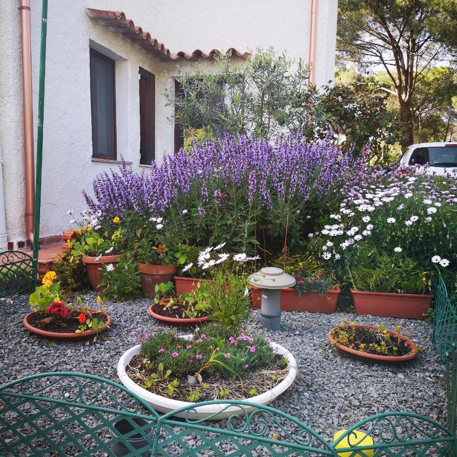 Villa Manuela Pula Εξωτερικό φωτογραφία