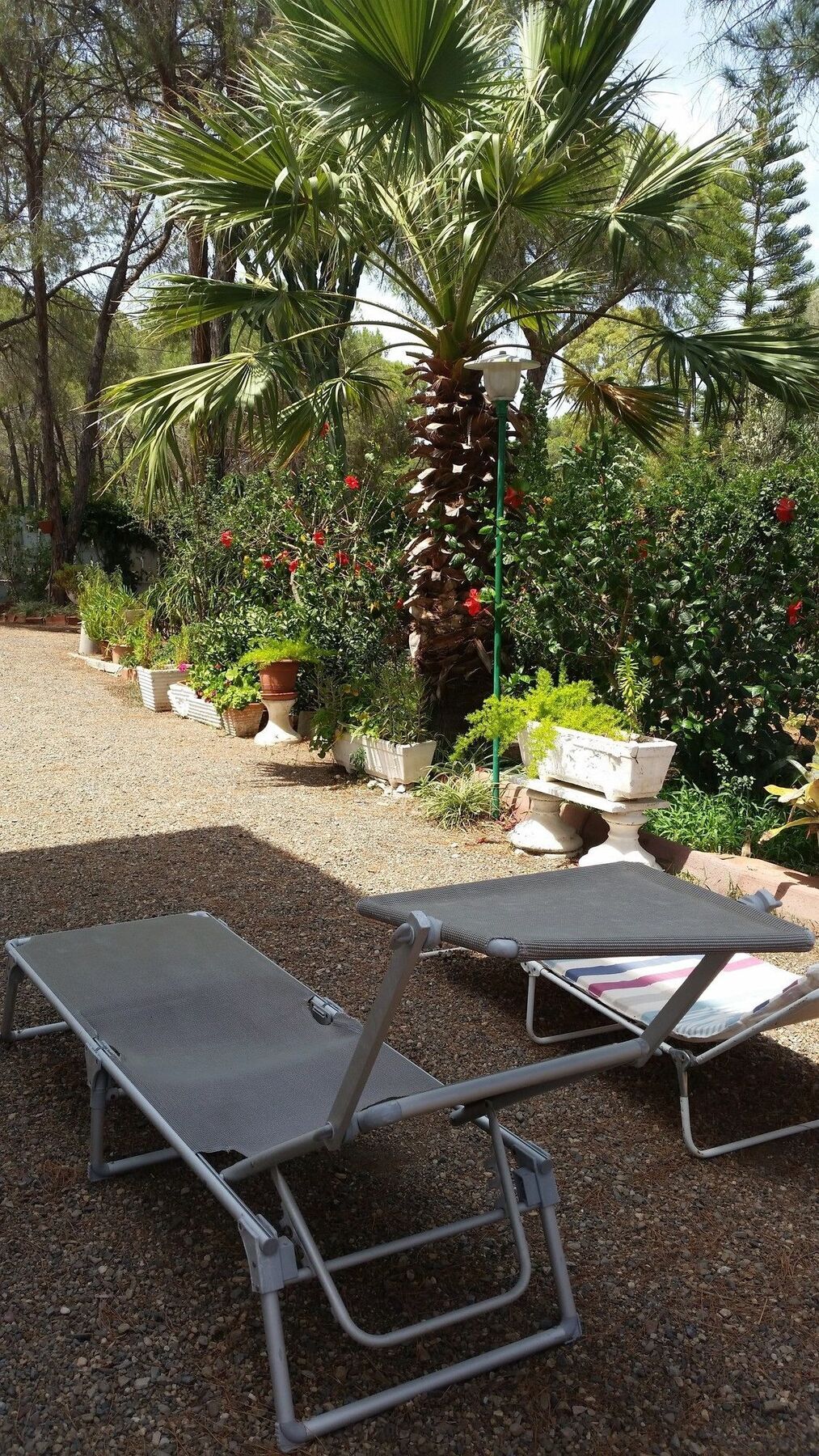 Villa Manuela Pula Εξωτερικό φωτογραφία